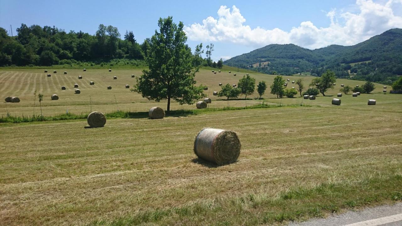 Mombasiglio L'Isola Dla Cerrea B&B 외부 사진