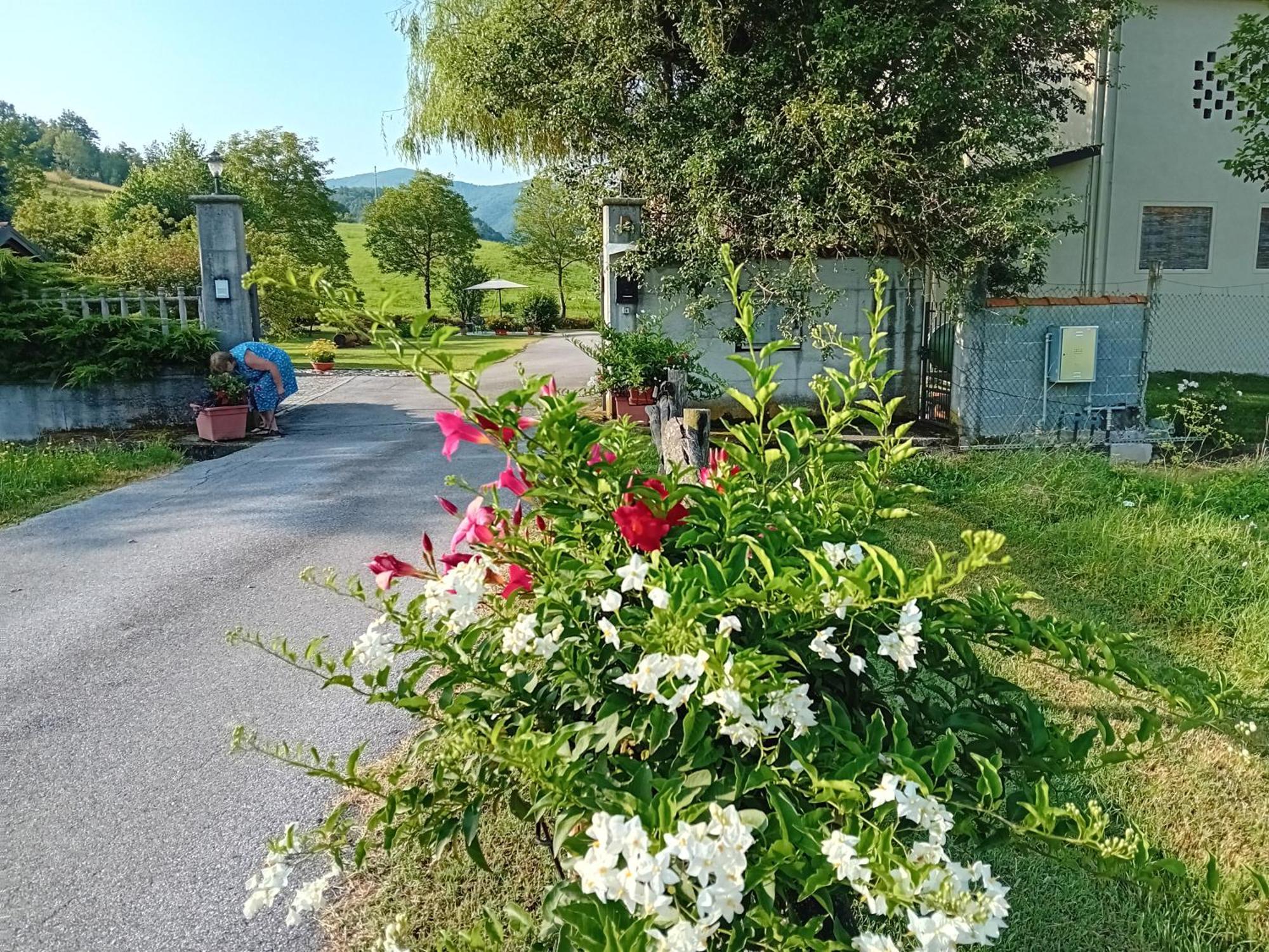 Mombasiglio L'Isola Dla Cerrea B&B 외부 사진